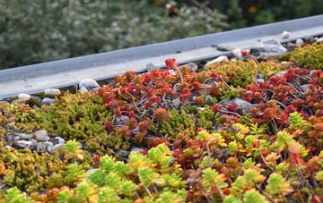 the cost of Brynbryddan green roof installation