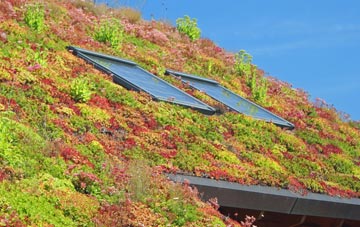 Brynbryddan living roof systems